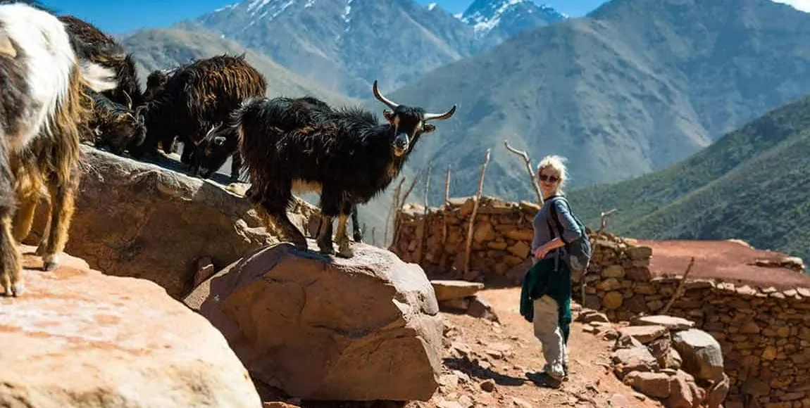 5-Day Trek in the Atlas Mountains