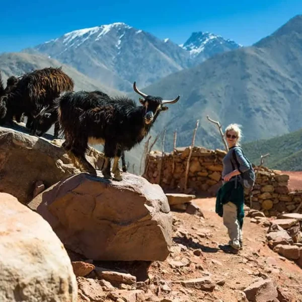 5-Day Trek in the Atlas Mountains