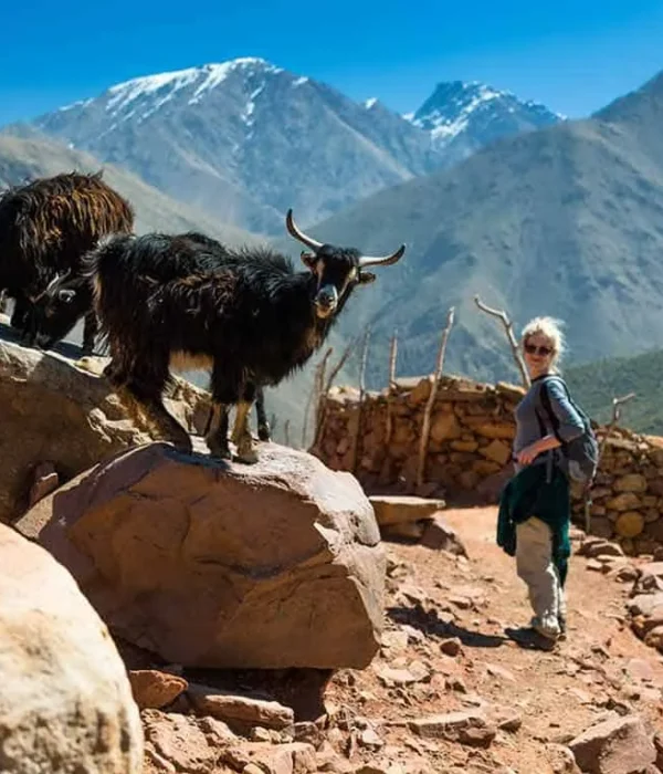 5-Day Trek in the Atlas Mountains