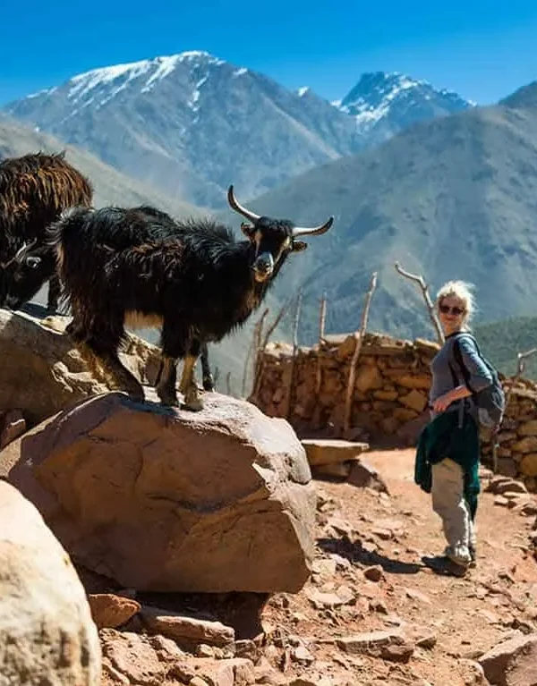 5-Day Trek in the Atlas Mountains