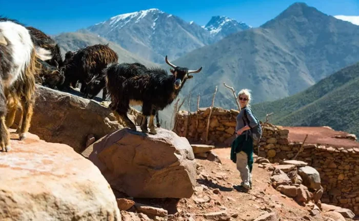 5-Day Trek in the Atlas Mountains