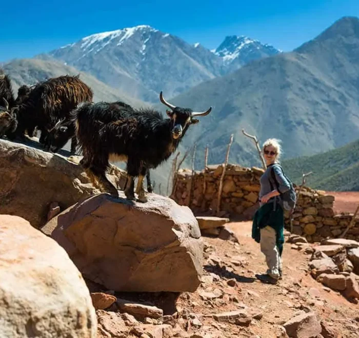 5-Day Trek in the Atlas Mountains