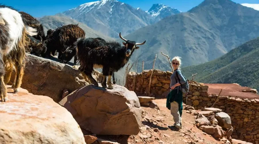 5-Day Trek in the Atlas Mountains