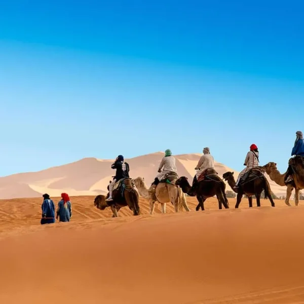 Casablanca Day Trip: Exploring Morocco’s Vibrant Economic Hub 4-Day Sahara Adventure: Marrakesh to Fes via the Desert. Experience dunes, Berber culture & stunning landscapes on this unforgettable journey.