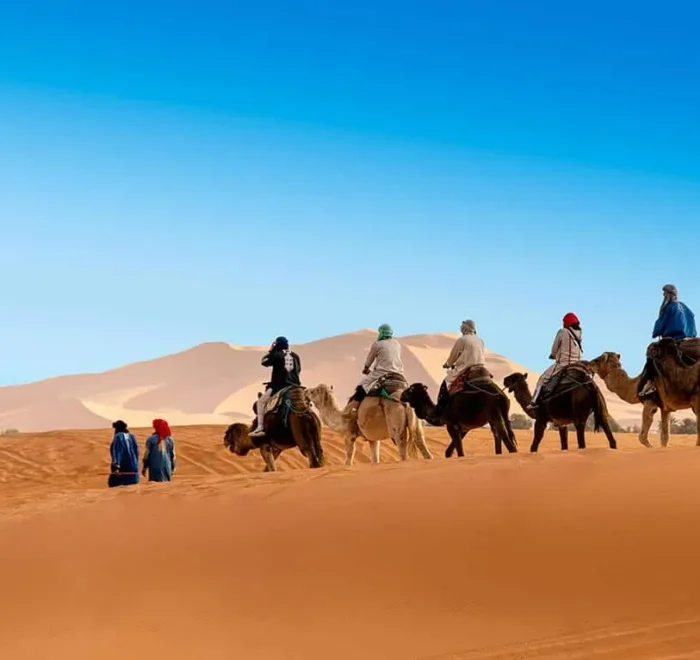 Casablanca Day Trip: Exploring Morocco’s Vibrant Economic Hub 4-Day Sahara Adventure: Marrakesh to Fes via the Desert. Experience dunes, Berber culture & stunning landscapes on this unforgettable journey.