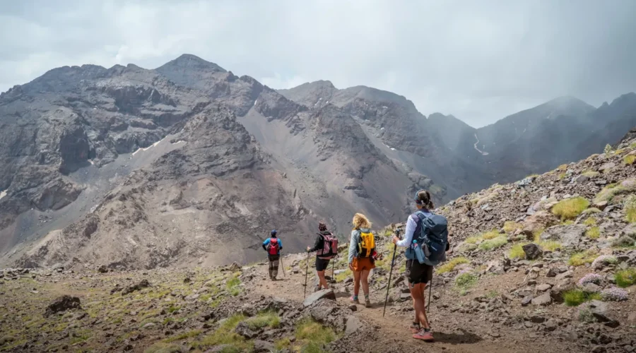 Hikers navigating a scenic mountain trail, surrounded by lush greenery and towering peaks under a clear blue sky.