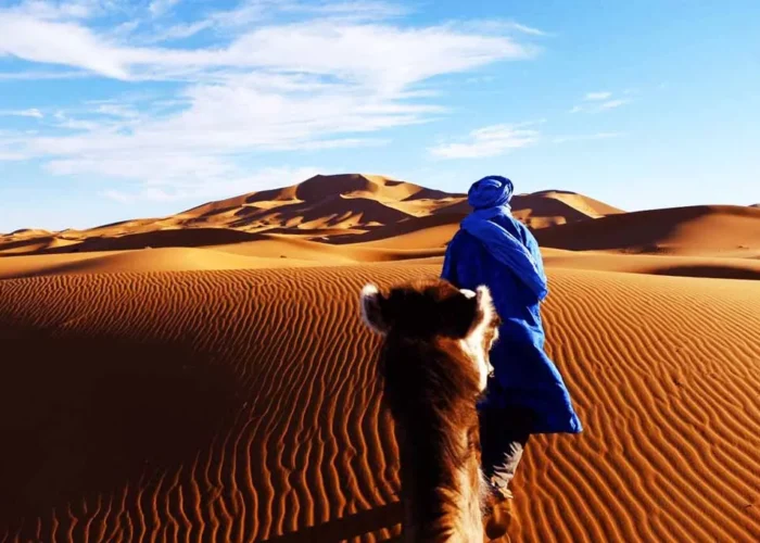 Agafay Desert Dinner Show with Sunset Camel Ride