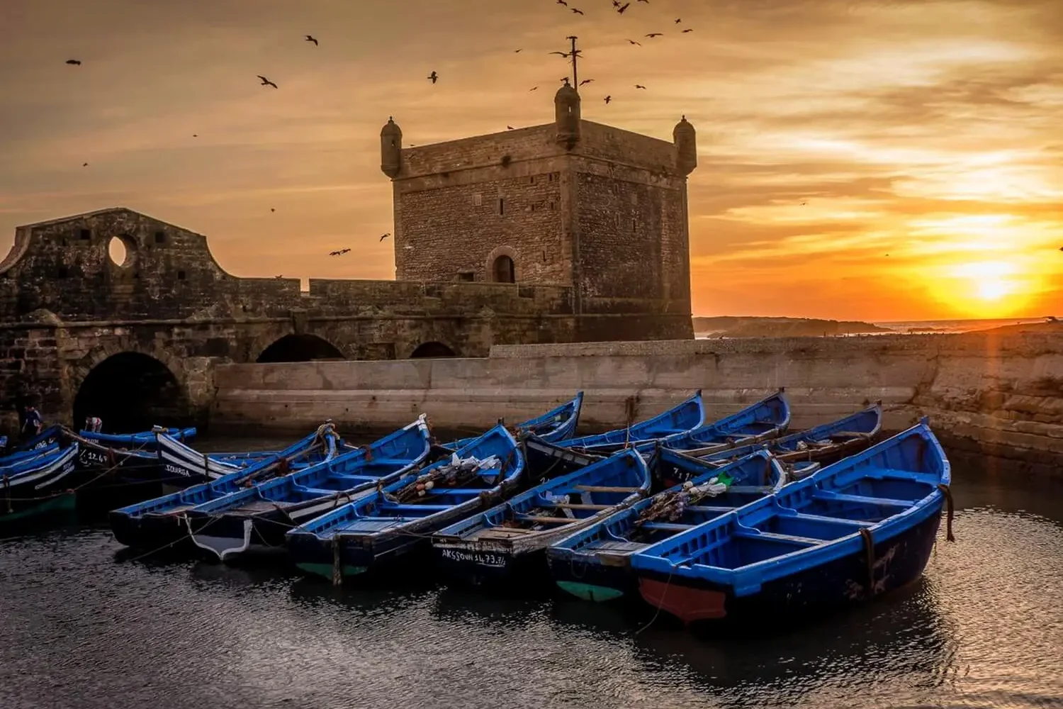 Day Trip From Marrakech to Essaouira