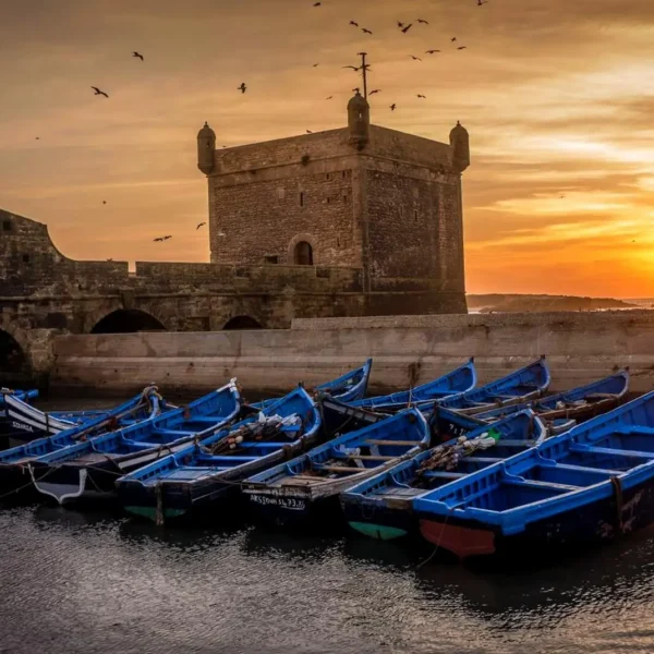 Day Trip From Marrakech to Essaouira