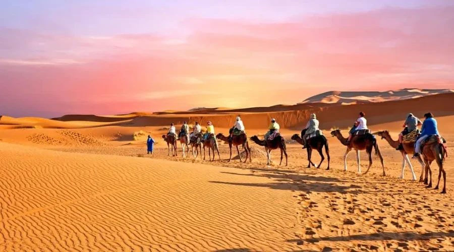 A group of individuals riding camels across a vast, sandy desert landscape under a clear blue sky.