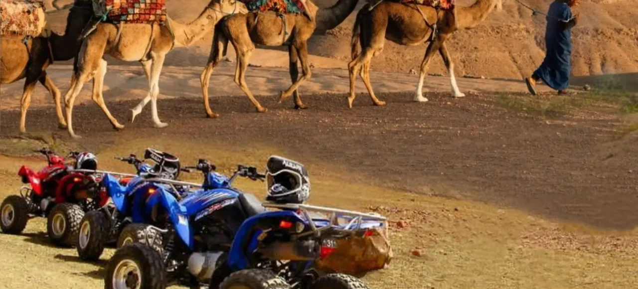 Camel Ride and Quad Bike in Marrakech Palmerie