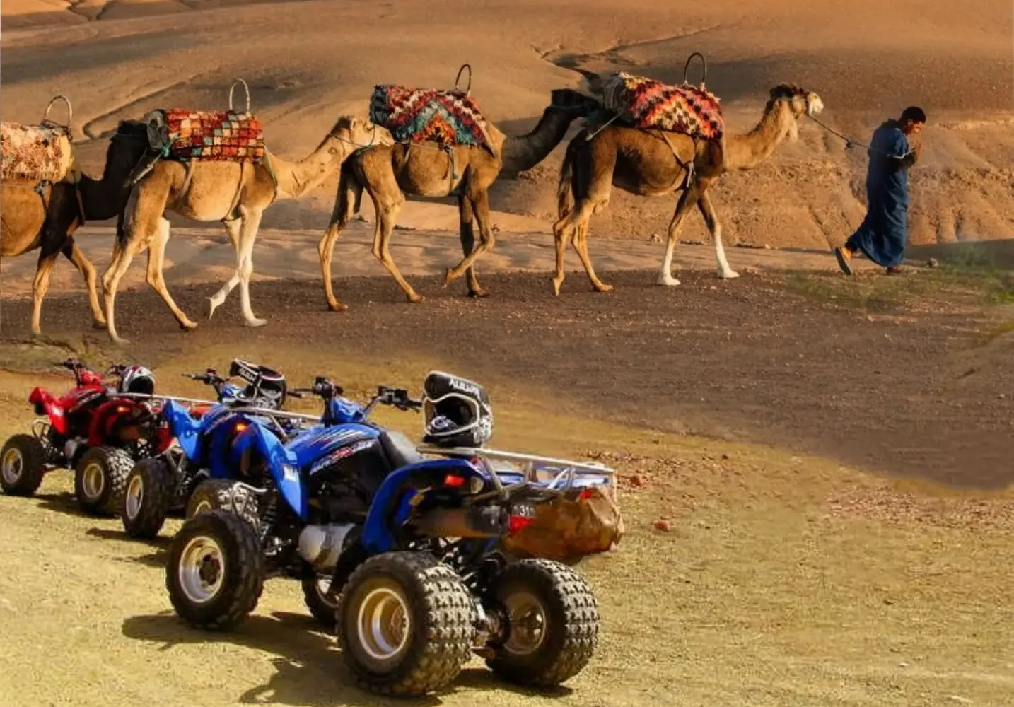 Camel Ride and Quad Bike in Marrakech Palmerie
