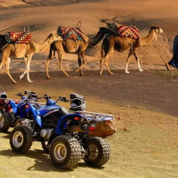 Camel Ride and Quad Bike in Marrakech Palmerie