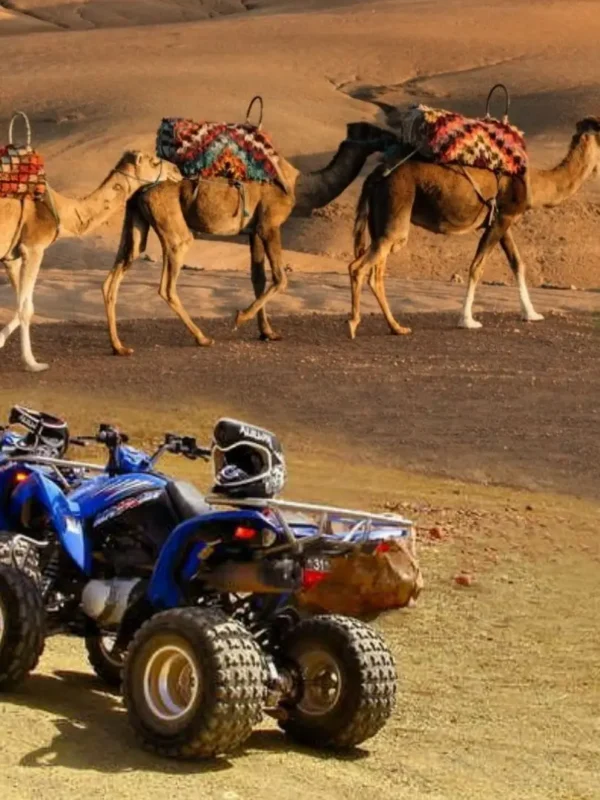 Camel Ride and Quad Bike in Marrakech Palmerie