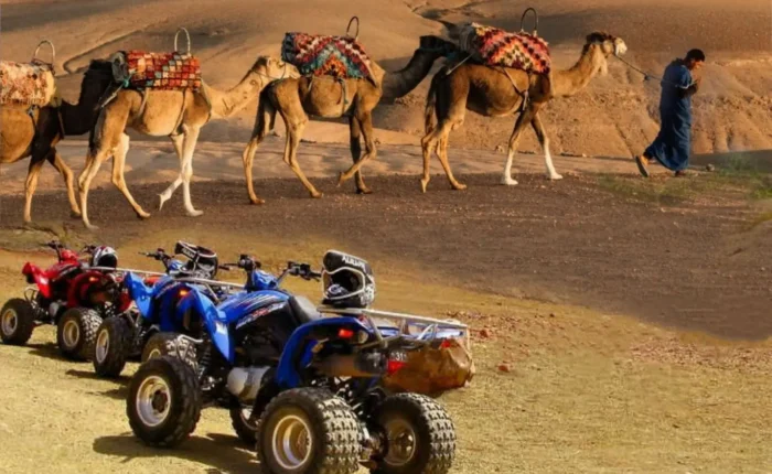 Camel Ride and Quad Bike in Marrakech Palmerie