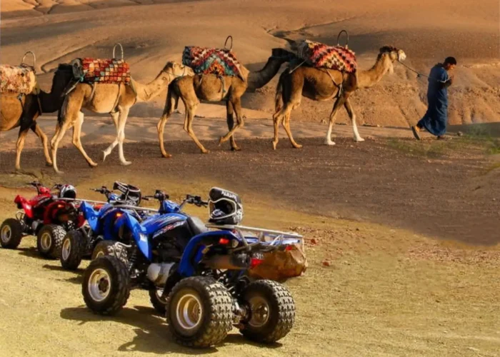 Camel Ride and Quad Bike in Marrakech Palmerie