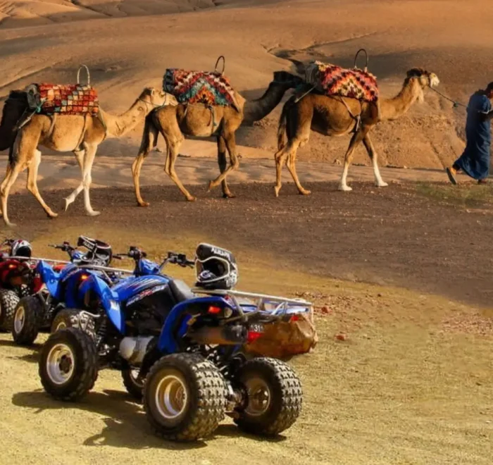 Camel Ride and Quad Bike in Marrakech Palmerie