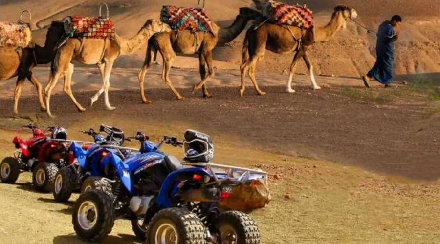 Camel Ride and Quad Bike in Marrakech Palmerie