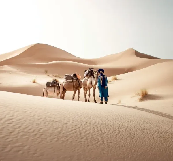 A man stands beside his camels in the Moroccan desert, showcasing a traditional scene from local tour experiences.