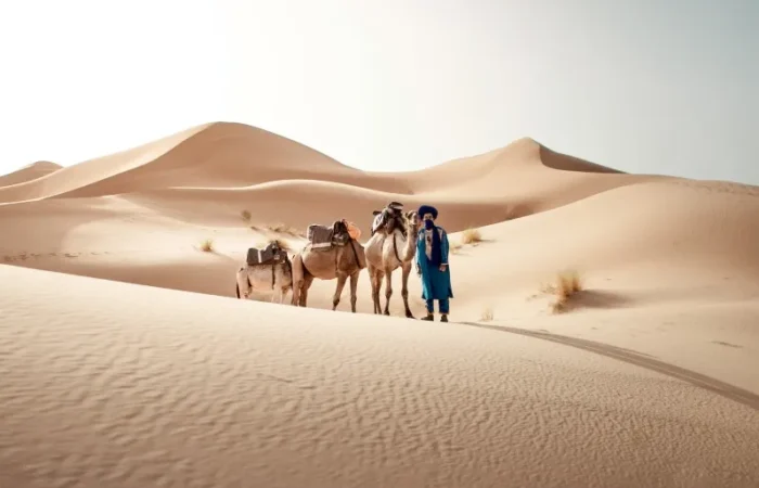 A man stands beside his camels in the Moroccan desert, showcasing a traditional scene from local tour experiences.