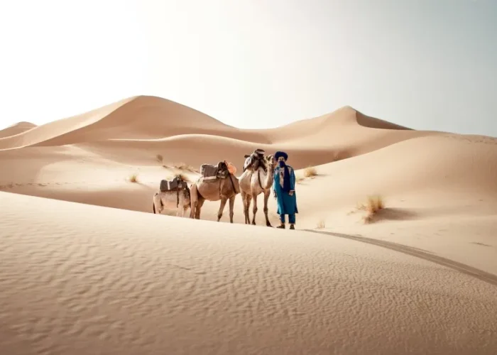 A man stands beside his camels in the Moroccan desert, showcasing a traditional scene from local tour experiences.