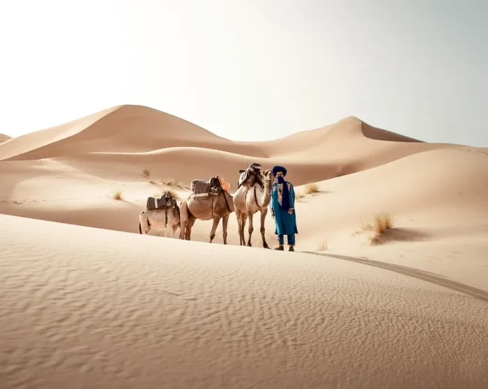 A man stands beside his camels in the Moroccan desert, showcasing a traditional scene from local tour experiences.