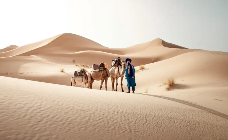 A man stands beside his camels in the Moroccan desert, showcasing a traditional scene from local tour experiences.