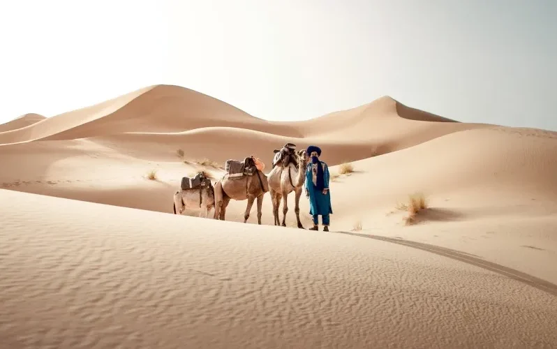 A man stands beside his camels in the Moroccan desert, showcasing a traditional scene from local tour experiences.