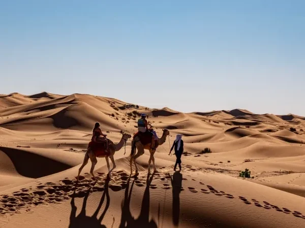 Two individuals on camels traversing a vast desert landscape, highlighting a Morocco travel operator's unique tour. Book a Shared Desert Tour from Fes and experience camel rides, unforgettable dunes and wonderful nights in the desert at a budget price!