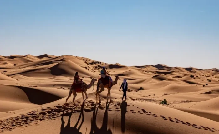 Two individuals on camels traversing a vast desert landscape, highlighting a Morocco travel operator's unique tour. Book a Shared Desert Tour from Fes and experience camel rides, unforgettable dunes and wonderful nights in the desert at a budget price!