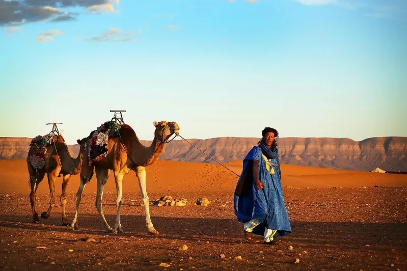 A man walks alongside two camels in a vast desert landscape, showcasing a scene from Morocco tours. 