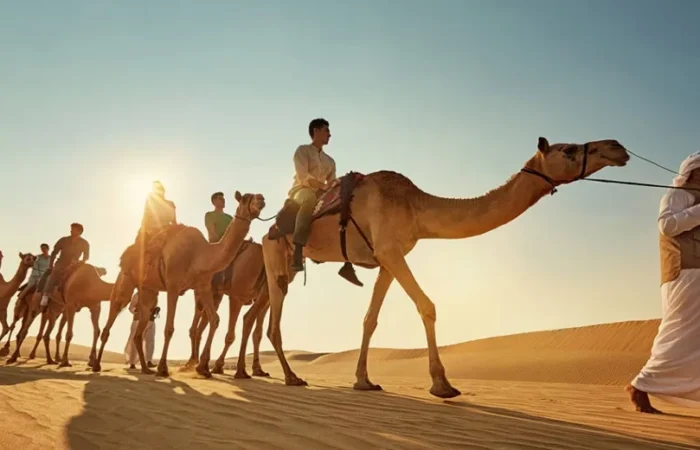 A group of tourists riding camels through the sandy landscape of the Moroccan desert during a camel tour. Shared Morocco Desert Tours