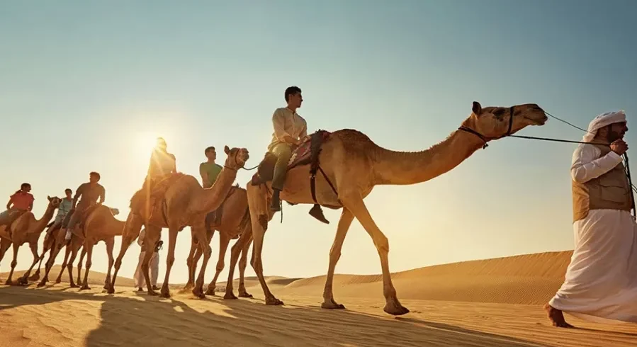 A group of tourists riding camels through the sandy landscape of the Moroccan desert during a camel tour. Shared Morocco Desert Tours