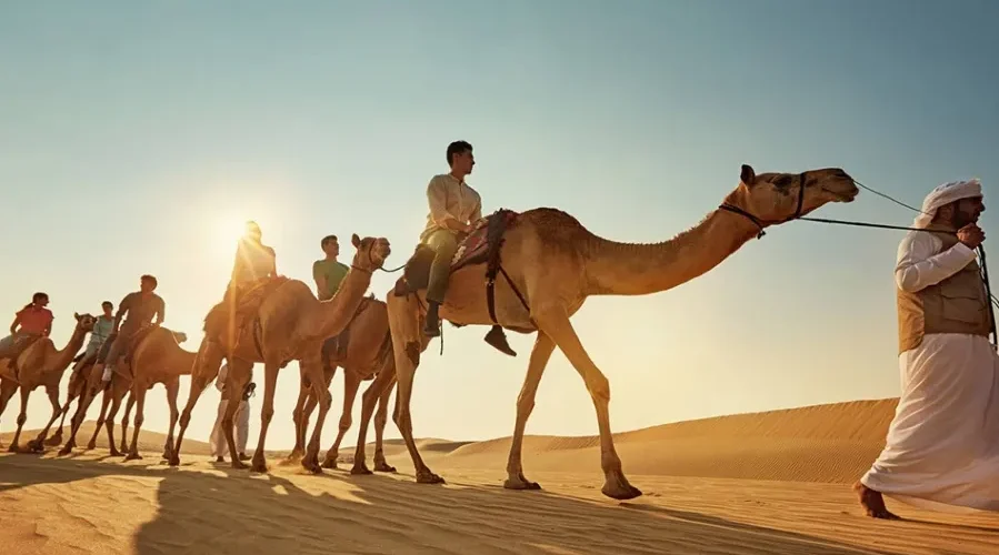 A group of tourists riding camels through the sandy landscape of the Moroccan desert during a camel tour. Shared Morocco Desert Tours