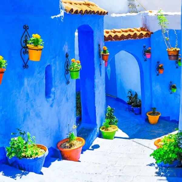 A blue building featuring several potted plants in front of it.