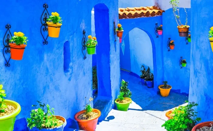 A blue building featuring several potted plants in front of it.