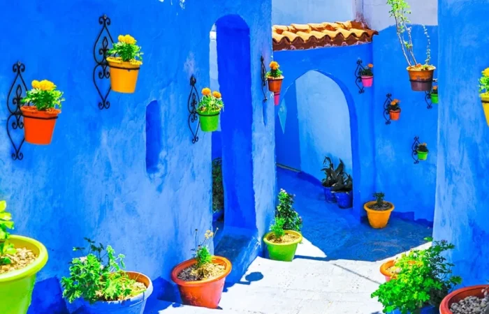 A blue building featuring several potted plants in front of it.