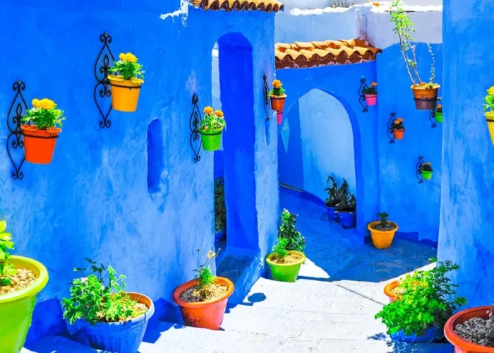A blue building featuring several potted plants in front of it.