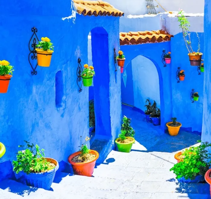 A blue building featuring several potted plants in front of it.