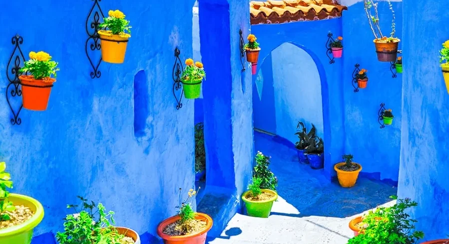 A blue building featuring several potted plants in front of it.