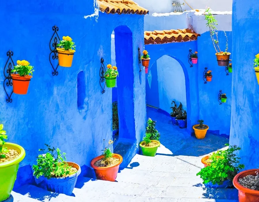 A blue building featuring several potted plants in front of it.