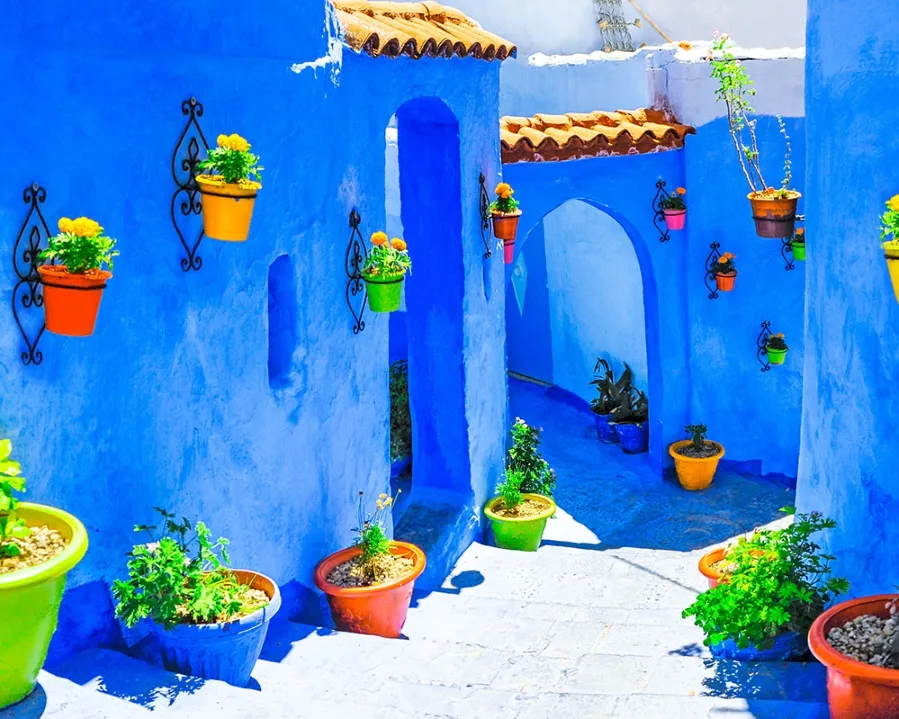 A blue building featuring several potted plants in front of it.