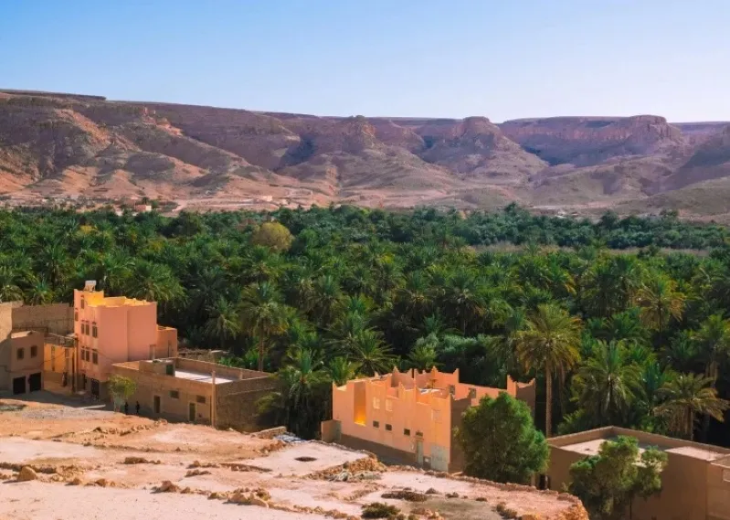 A scenic view of a Moroccan village in the desert, showcasing traditional architecture and olive oil production.