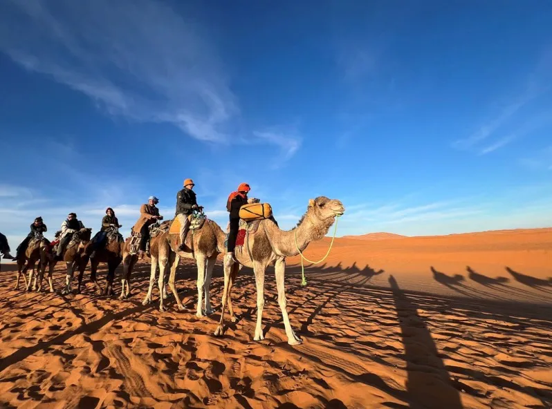 Imperial Cities & Sahara Desert Adventure