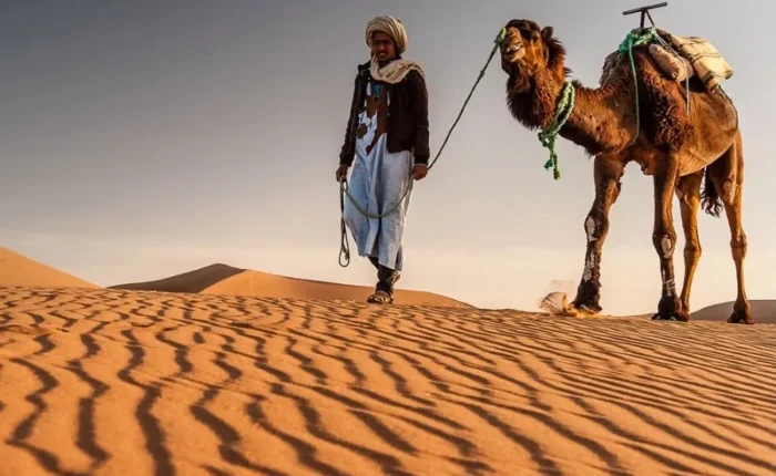 A man walks alongside a camel in the vast expanse of the Morocco desert during a tour.