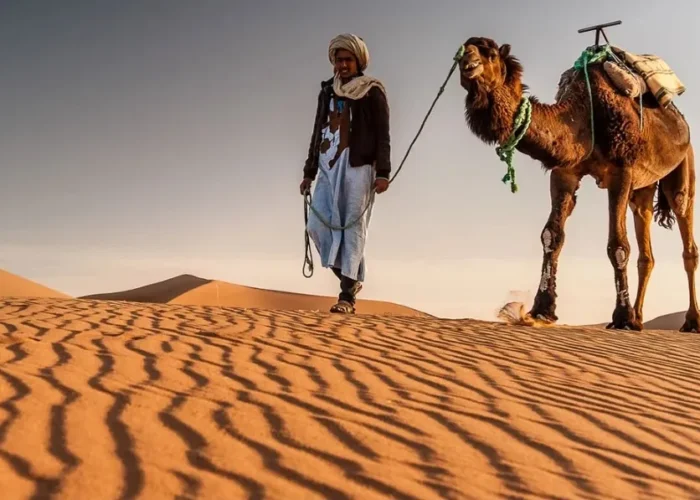 A man walks alongside a camel in the vast expanse of the Morocco desert during a tour.