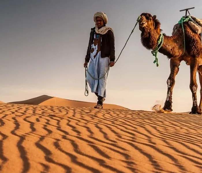 A man walks alongside a camel in the vast expanse of the Morocco desert during a tour.