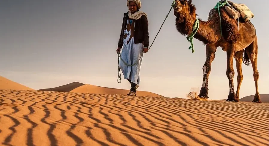 A man walks alongside a camel in the vast expanse of the Morocco desert during a tour.