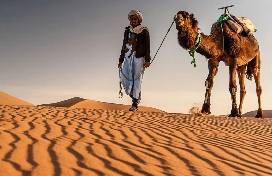 A man walks alongside a camel in the vast expanse of the Morocco desert during a tour.