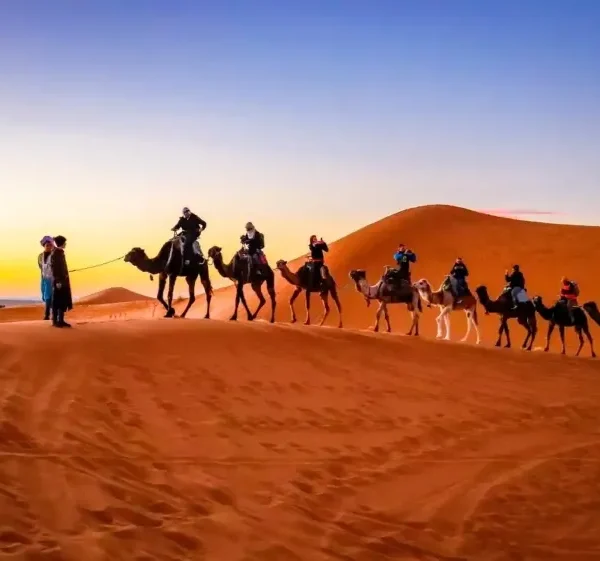 A group of travelers riding camels across the sandy desert, promoting a Morocco travel package adventure.